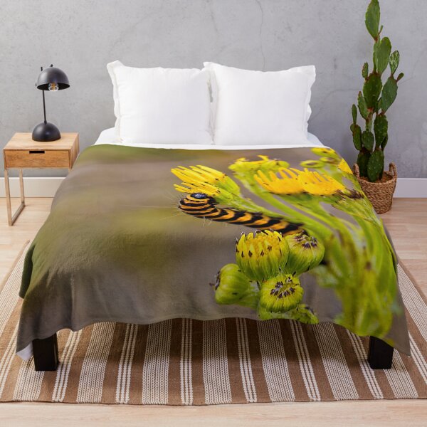 Item preview, Cinnabar Moth Caterpillar on Ragwort Flowers designed and sold by Violaman.