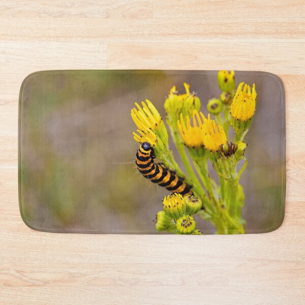 Item preview, Cinnabar Moth Caterpillar on Ragwort Flowers designed and sold by Violaman.