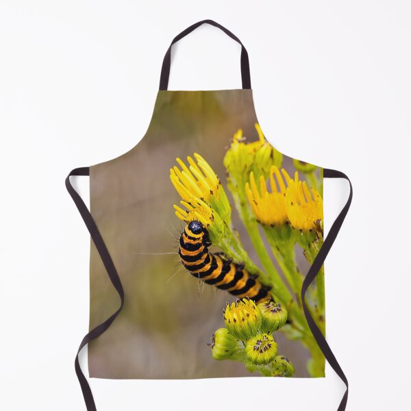 Item preview, Cinnabar Moth Caterpillar on Ragwort Flowers designed and sold by Violaman.