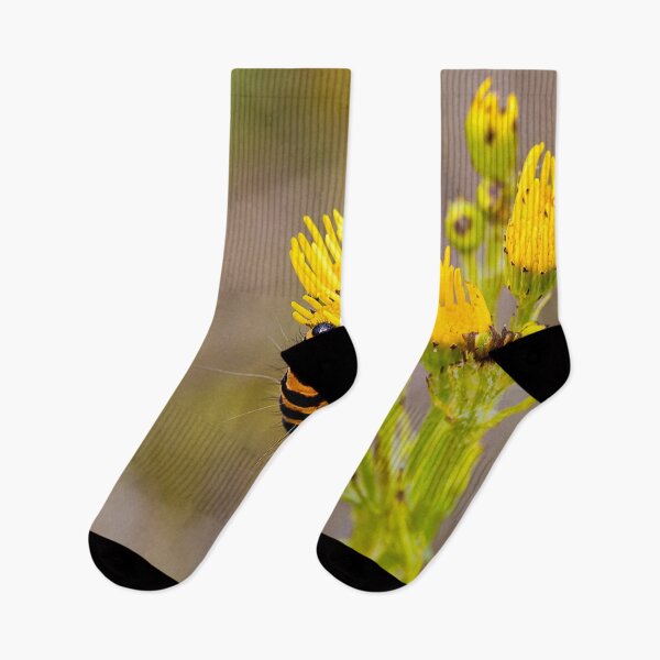 Item preview, Cinnabar Moth Caterpillar on Ragwort Flowers designed and sold by Violaman.