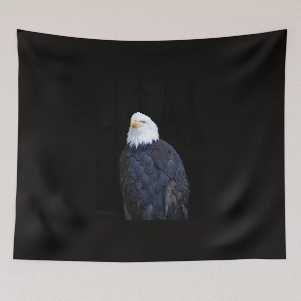 Item preview, Bald eagle portrait designed and sold by Brian Scantlebury.