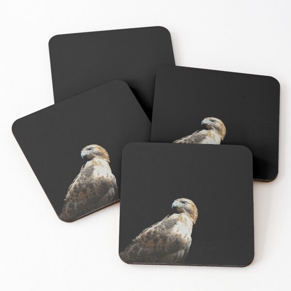 Item preview, Golden eagle portrait. designed and sold by Brian Scantlebury.