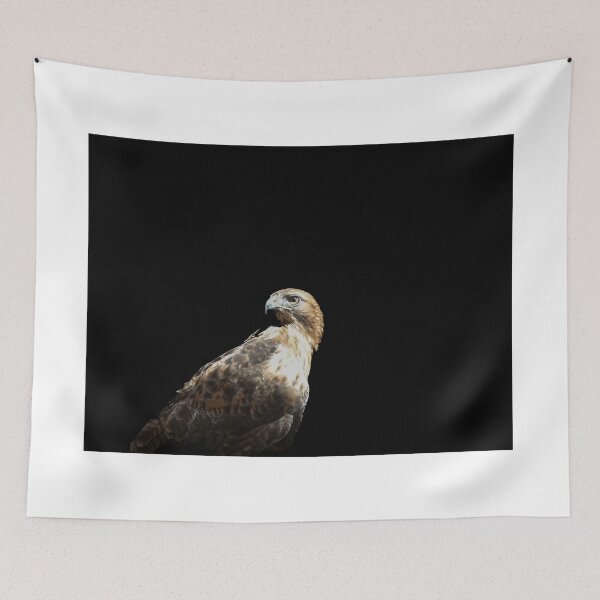 Item preview, Golden eagle portrait. designed and sold by Brian Scantlebury.