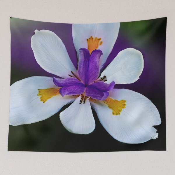 Item preview, African Iris Color designed and sold by Kay Brewer.