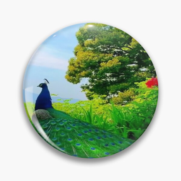 Item preview, Peacock decorations, decorative peacock feather designed and sold by Emoelsalhy76.