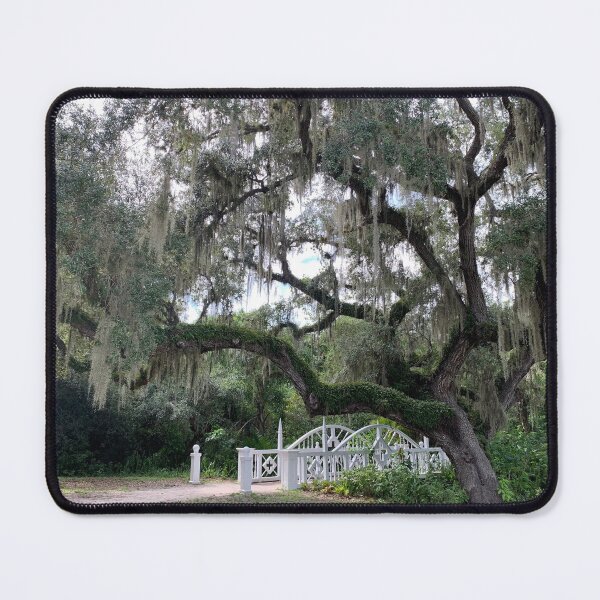 Item preview, Majestic Live Oak  designed and sold by Lexipooh76.