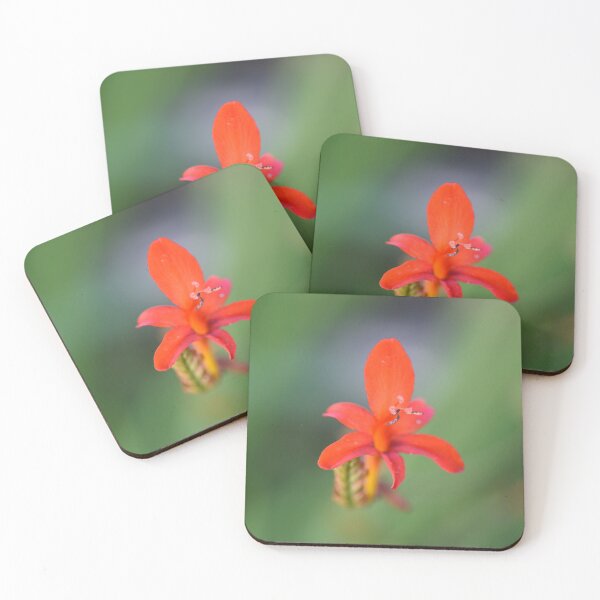 Item preview, Red Flower designed and sold by hobbytimes.