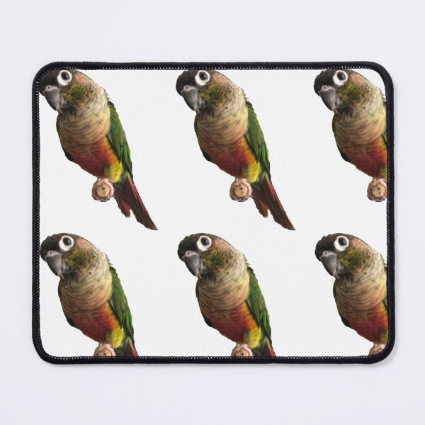 Item preview, Green Cheek Conure design | Conure | Small Parrot | Parakeet | Parrot lover designed and sold by TatianaLG.