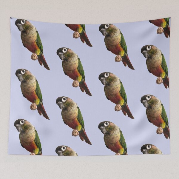 Item preview, Green Cheek Conure design | Conure | Small Parrot | Parakeet | Parrot lover designed and sold by TatianaLG.