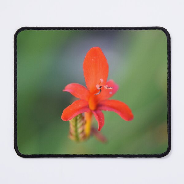 Item preview, Red Flower designed and sold by hobbytimes.
