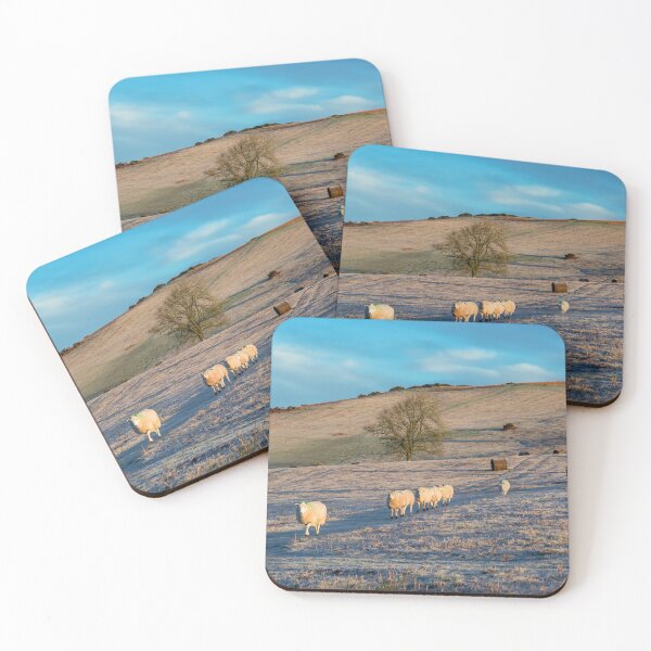 Item preview, Sheep on Mynydd Illtud in the Brecon Beacons designed and sold by Leighton Collins.