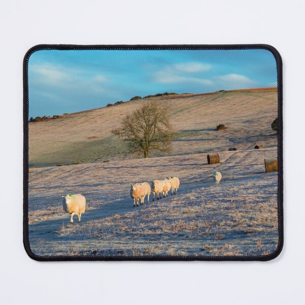 Item preview, Sheep on Mynydd Illtud in the Brecon Beacons designed and sold by Leighton Collins.