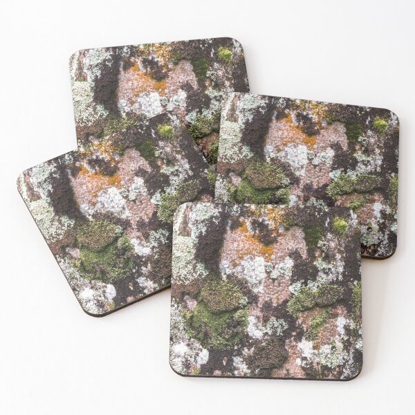 Item preview, trunk and bark. designed and sold by Nino rocha fotografia.