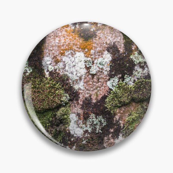Item preview, trunk and bark. designed and sold by Nino rocha fotografia.