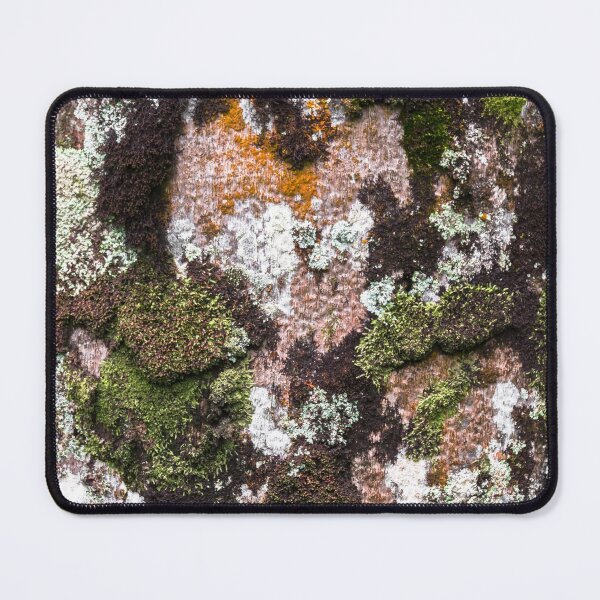 Item preview, trunk and bark. designed and sold by Nino rocha fotografia.