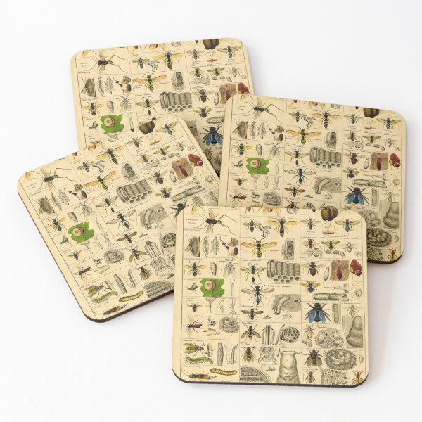 Item preview, Different Types of Insects Butterflies Papillon designed and sold by ZatsGaleries.