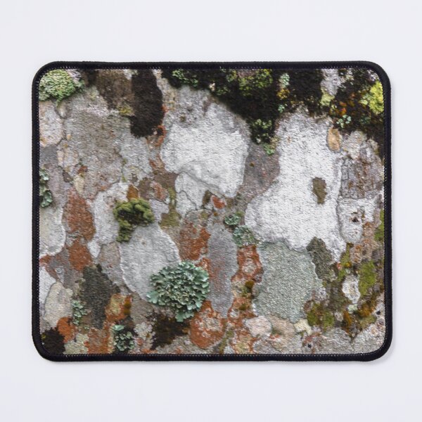 Item preview, trunk and texture 3. designed and sold by Nino rocha fotografia.