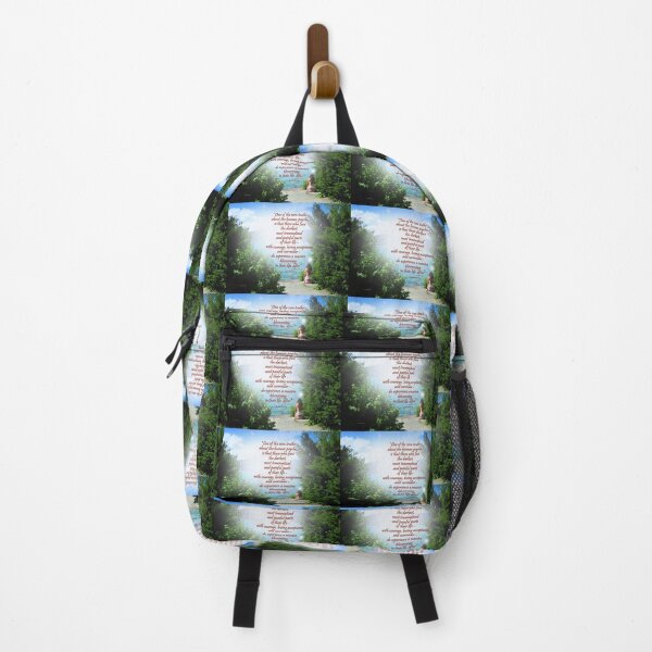 Item preview, Acceptance designed and sold by Vaengi.