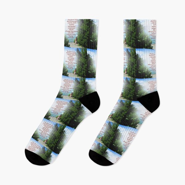 Item preview, Acceptance designed and sold by Vaengi.