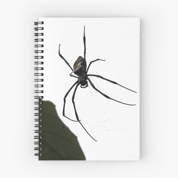 Item preview, Descending Spider designed and sold by Barnbk02.