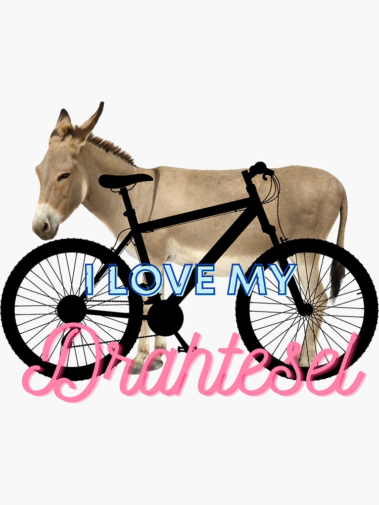 Lustiges Esel Türschild PVC - Doppelseitig Mit Komm Rein/Ich Will Ruhe Motiv