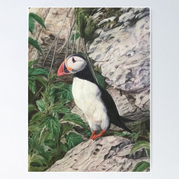 Item preview, Puffin | shearwaters lover designed and sold by NathBros.