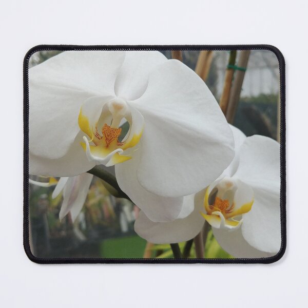 Item preview, Large White Flowers designed and sold by SpilProofLiquid.