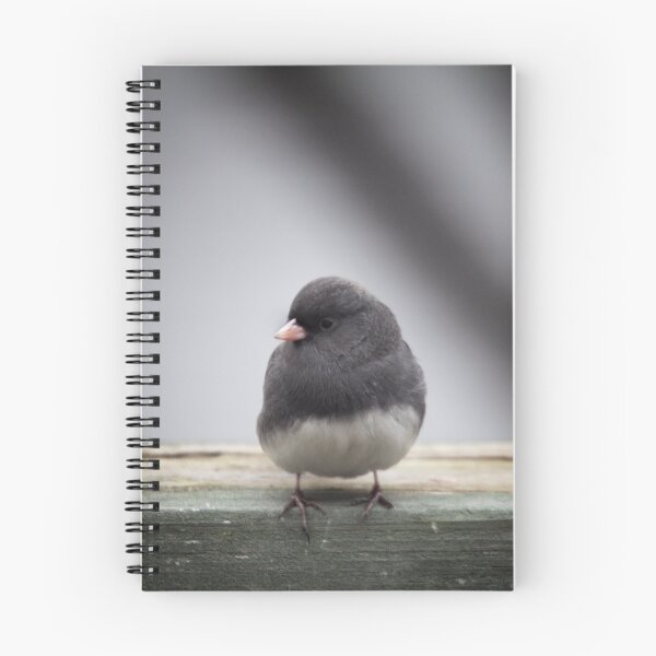 Item preview, Little Junco designed and sold by Lynn Starner.