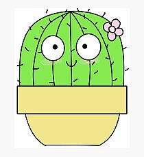 Lámina fotográfica un lindo cactus lil