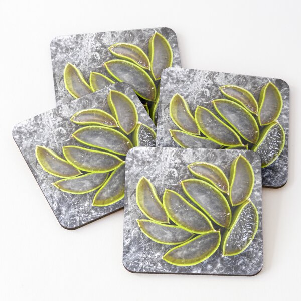 Item preview, aloe vera leaf art pattern  designed and sold by Stephanie  Skeem.