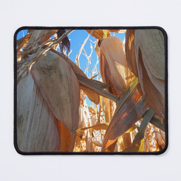 Item preview, autumn corn field and stalks designed and sold by Stephanie  Skeem.