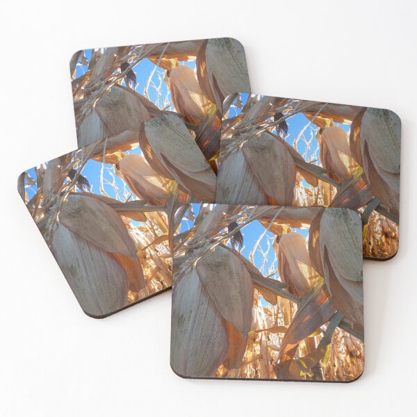 Item preview, autumn corn field and stalks designed and sold by Stephanie  Skeem.