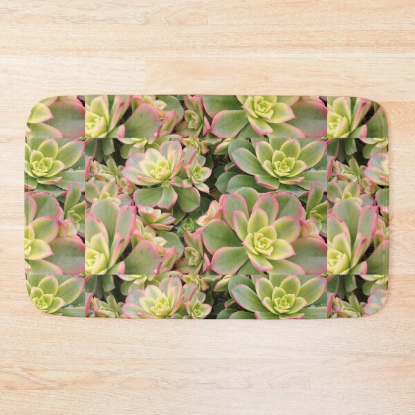Item preview, Aeonium Kiwi Plants designed and sold by SpilProofLiquid.