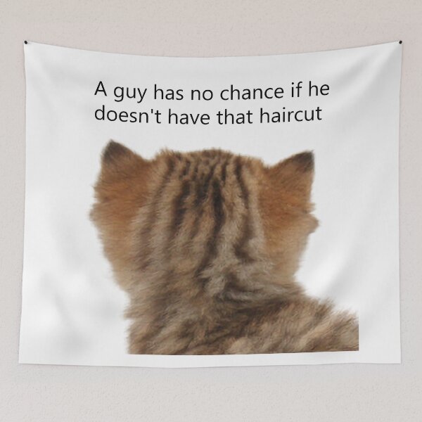 Item preview, Cat meme (A guy has no chance if he doesn't have that haircut) designed and sold by Picart-jpeg.