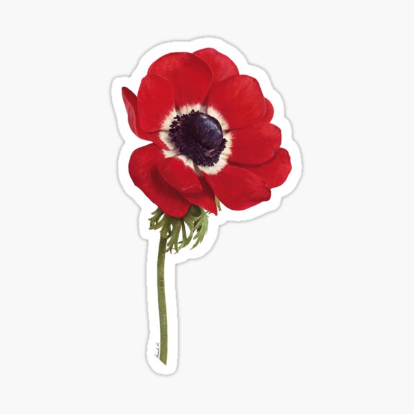 Artikel-Vorschau von Rote Anemone, designt und verkauft von blueberryiscute.