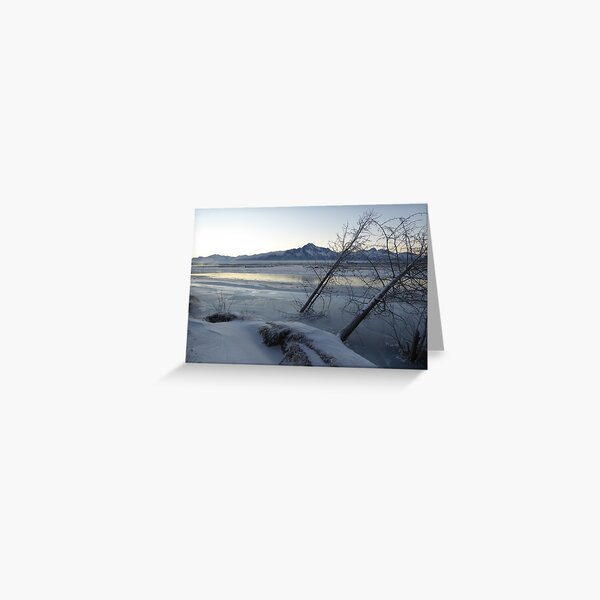 Palmer, Alaska - Frozen and Foggy Matanuska River Greeting Card