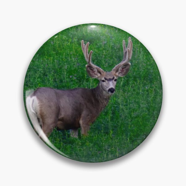 Item preview, Mule deer in velvet designed and sold by countrypines.