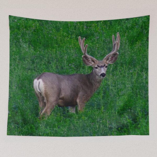 Item preview, Mule deer in velvet designed and sold by countrypines.