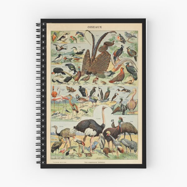 Item preview, Oiseaux Pour Tous by Millot - Vintage Birds Art Reproduction designed and sold by molamode.