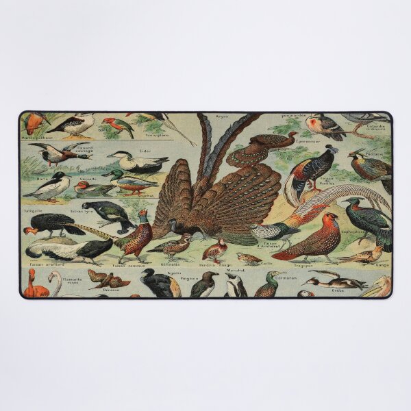 Item preview, Oiseaux Pour Tous by Millot - Vintage Birds Art Reproduction designed and sold by molamode.