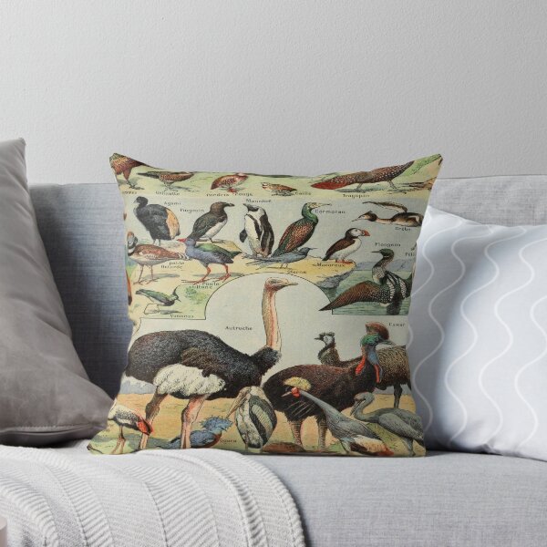 Item preview, Oiseaux Pour Tous by Millot - Vintage Birds Art Reproduction designed and sold by molamode.