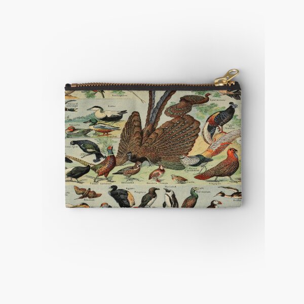 Item preview, Oiseaux Pour Tous by Millot - Vintage Birds Art Reproduction designed and sold by molamode.