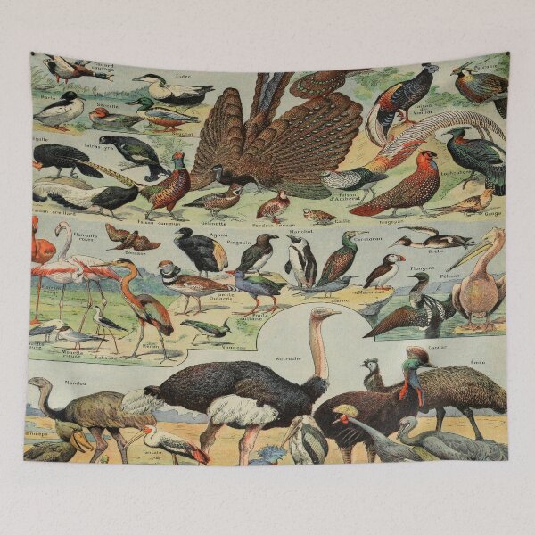Item preview, Oiseaux Pour Tous by Millot - Vintage Birds Art Reproduction designed and sold by molamode.