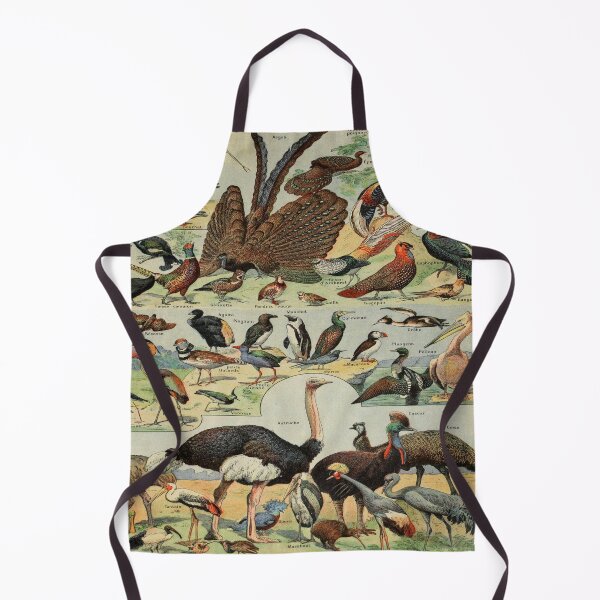 Item preview, Oiseaux Pour Tous by Millot - Vintage Birds Art Reproduction designed and sold by molamode.