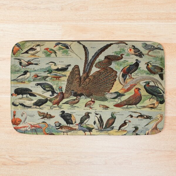 Item preview, Oiseaux Pour Tous by Millot - Vintage Birds Art Reproduction designed and sold by molamode.