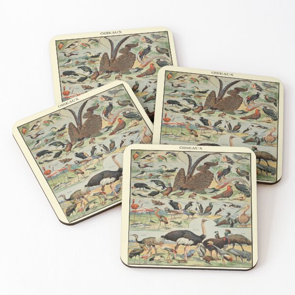 Item preview, Oiseaux Pour Tous by Millot - Vintage Birds Art Reproduction designed and sold by molamode.
