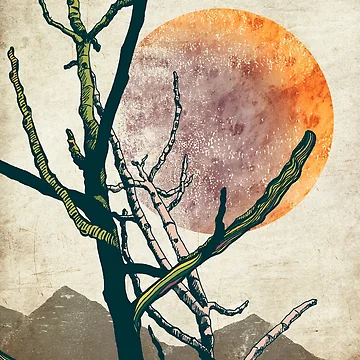 Artwork thumbnail, Rebirth by DesignKitchen