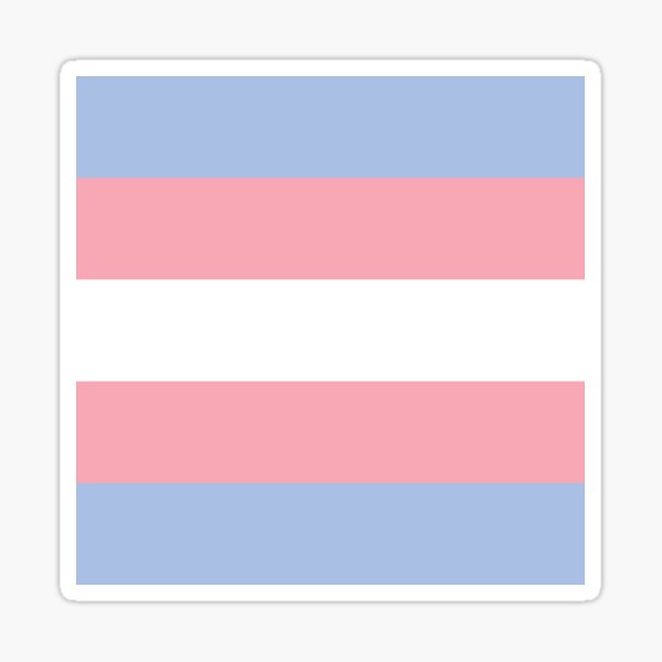 Trans* Pride Flag Sticker