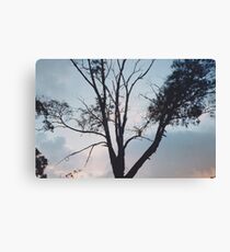 Untitled Canvas Print