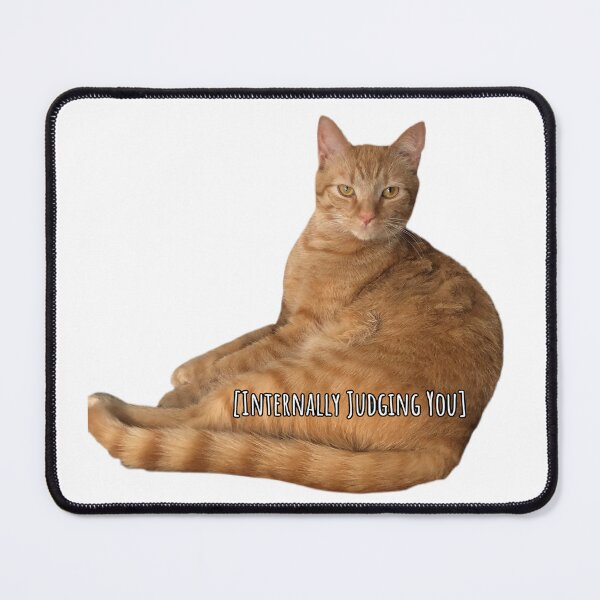 Item preview, Judgmental Cat designed and sold by ChickpeasFinds.